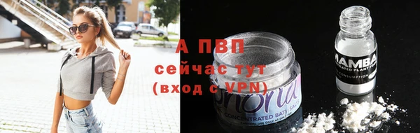 ГАЛЛЮЦИНОГЕННЫЕ ГРИБЫ Покачи