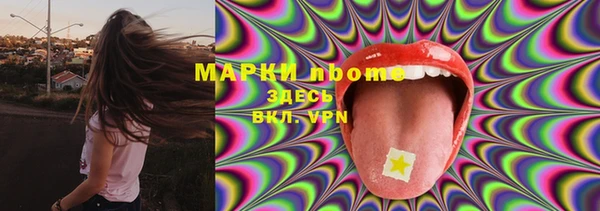 шишки Алзамай