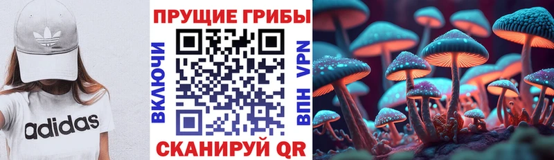 Галлюциногенные грибы Cubensis  Армянск 
